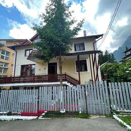 Hotel Constantinescu A. Buşteni Exteriér fotografie