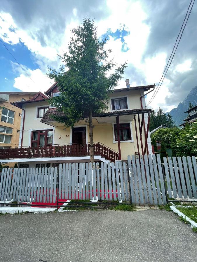 Hotel Constantinescu A. Buşteni Exteriér fotografie