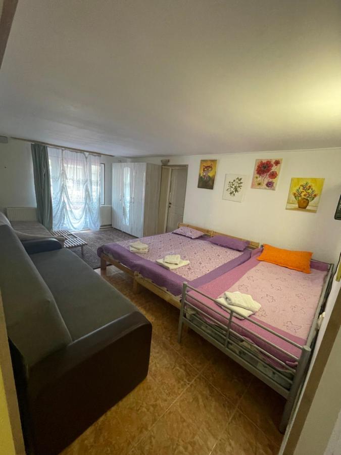 Hotel Constantinescu A. Buşteni Exteriér fotografie