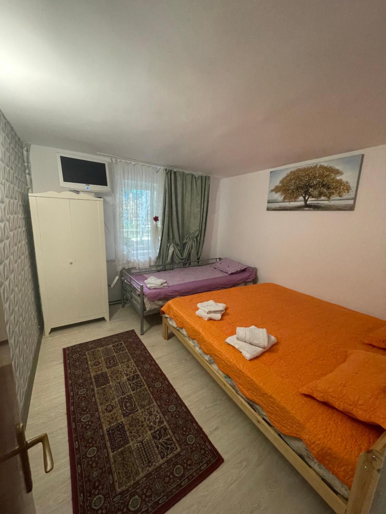 Hotel Constantinescu A. Buşteni Exteriér fotografie