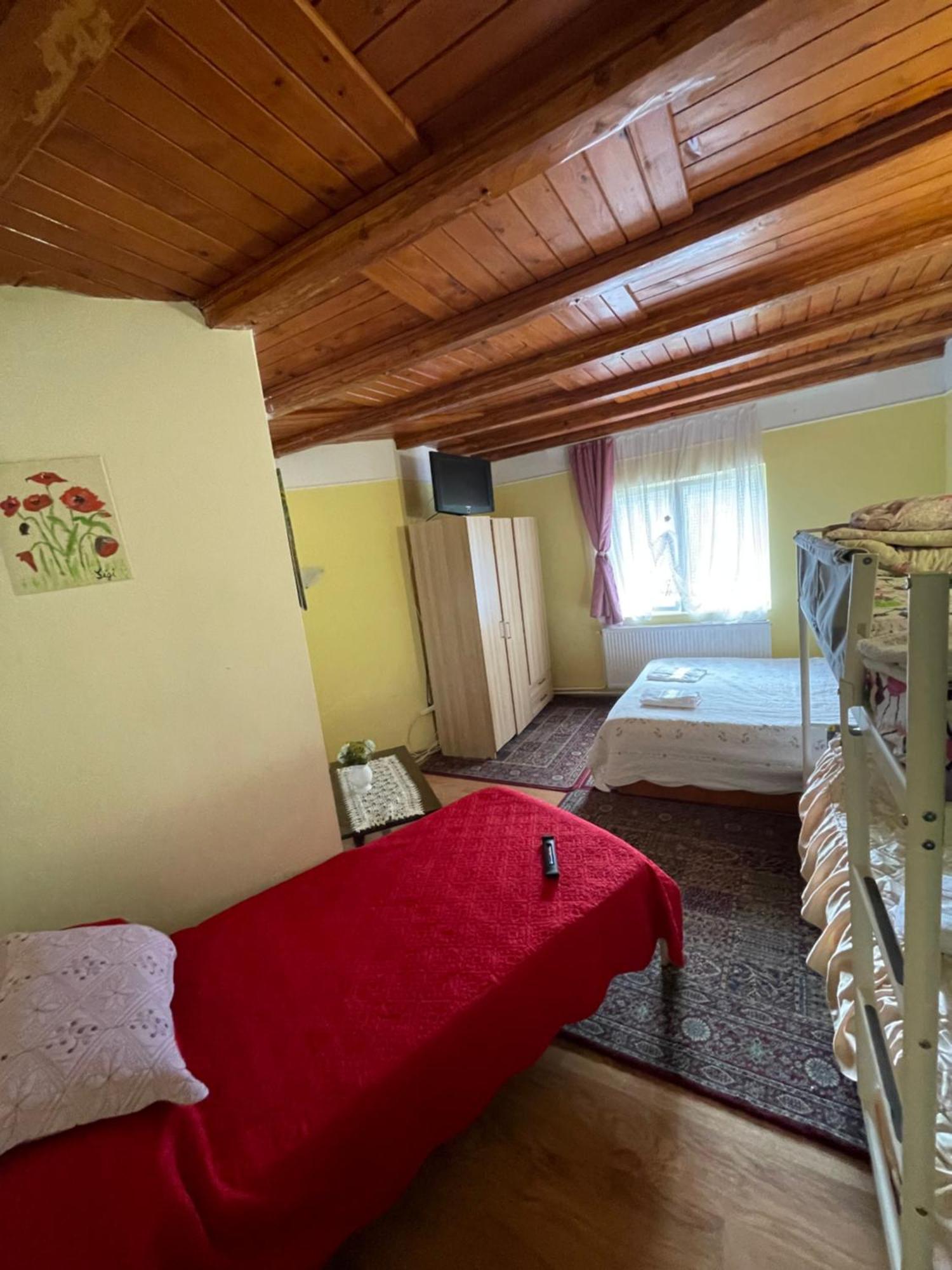 Hotel Constantinescu A. Buşteni Exteriér fotografie
