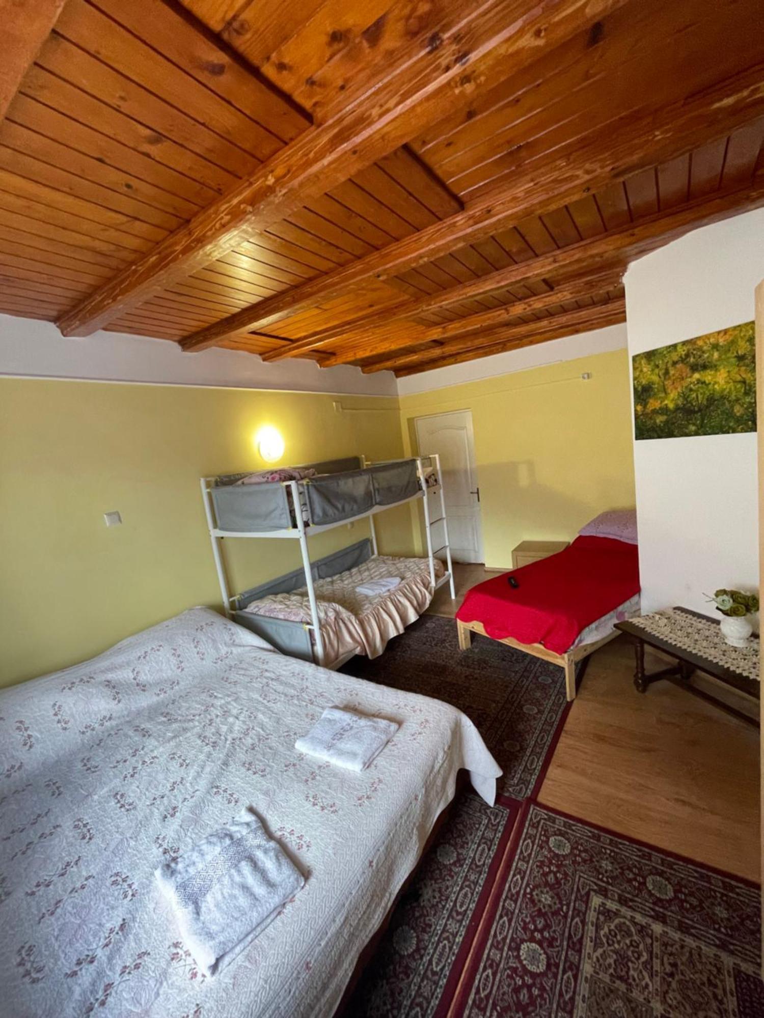 Hotel Constantinescu A. Buşteni Exteriér fotografie