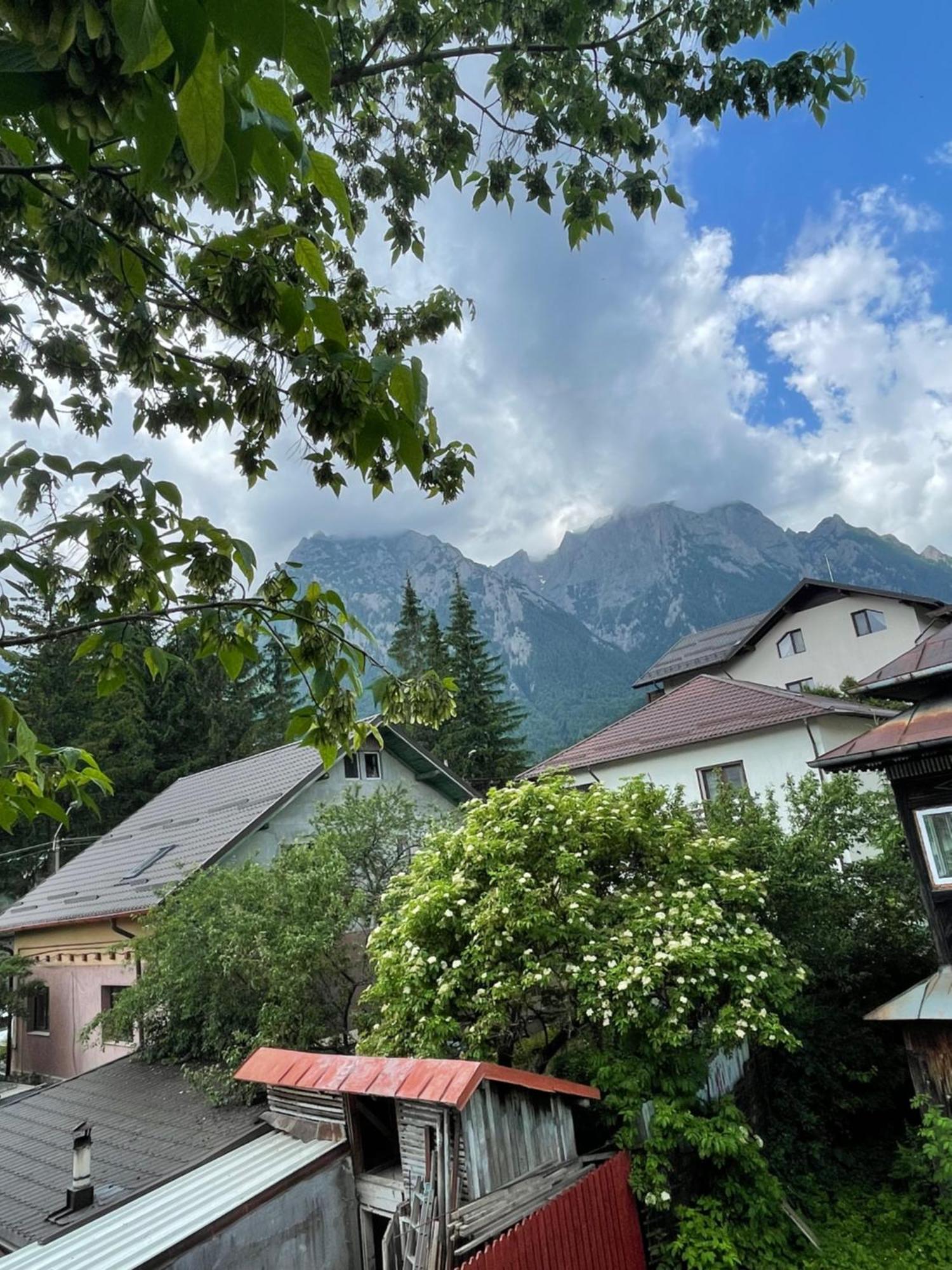 Hotel Constantinescu A. Buşteni Exteriér fotografie