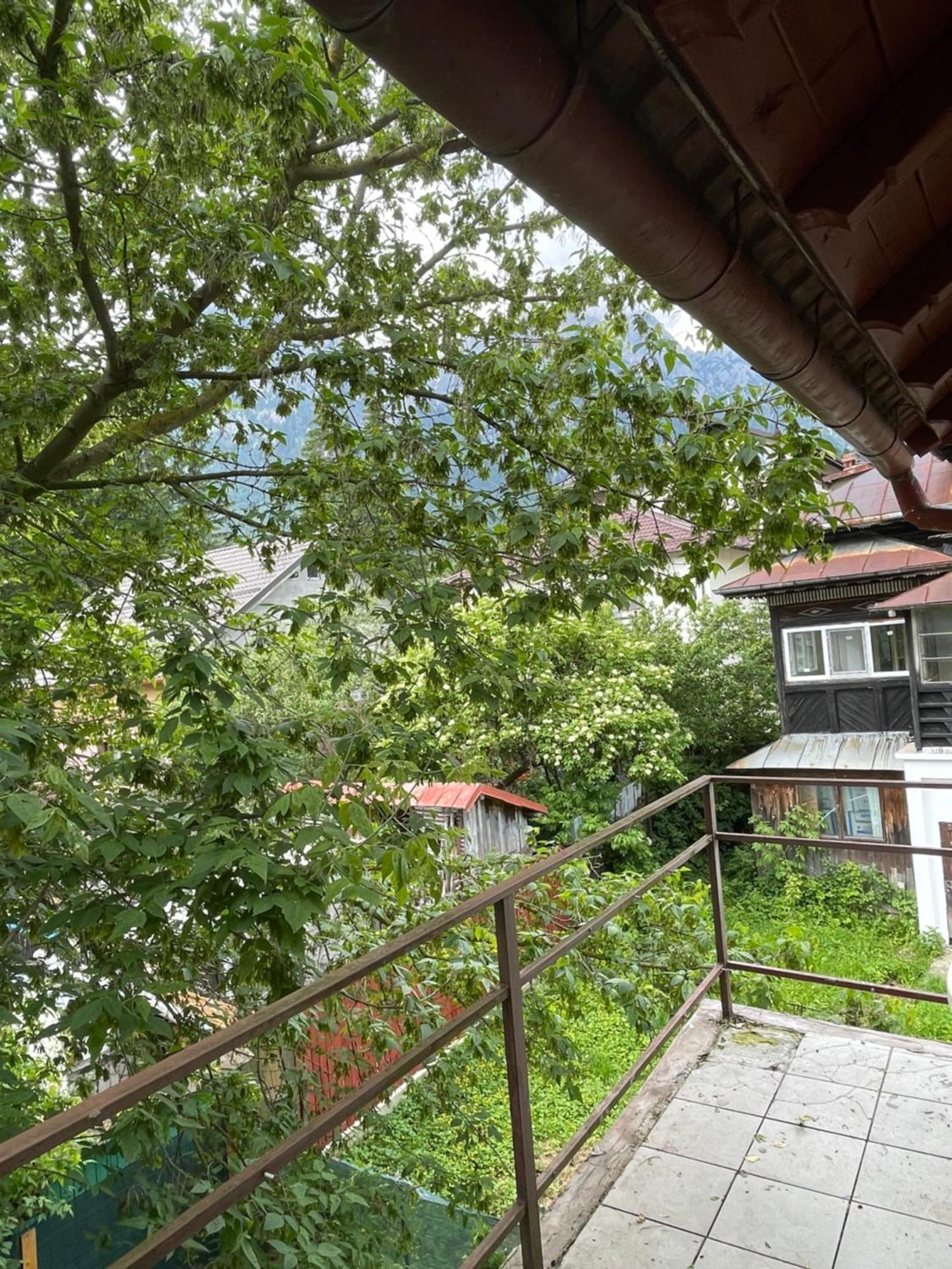 Hotel Constantinescu A. Buşteni Exteriér fotografie